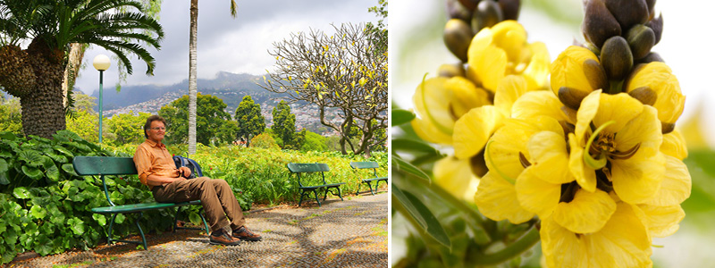 Rådhuspladsen Funchal Madeira Kulturrejser Europa